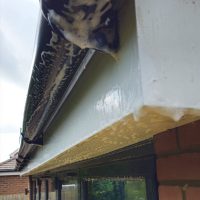 LOVEJOY EXTERIOR CLEANING, Hertfordshire. Services: Gutter, Fascia and Soffit Cleaning. Gutter, fascia and soffit exterior cleaning